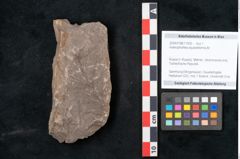 Foto (Objekt + Etikett) von Asterophyllites equisetiformis Br. (NHMW-GEO-2024-0188-11005)